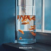 Avatar Trần Thị B